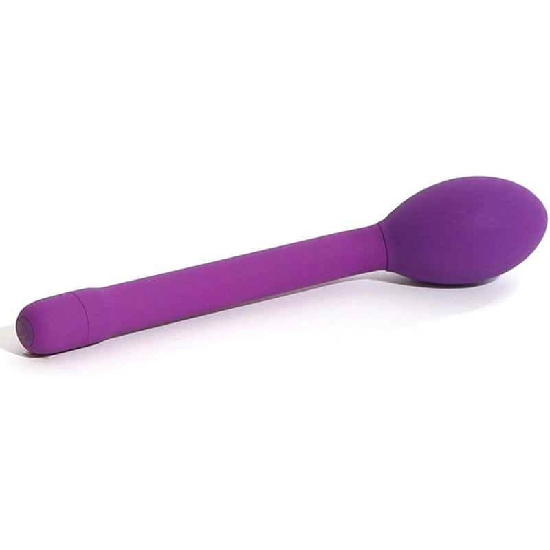 Bgee Classic Plus