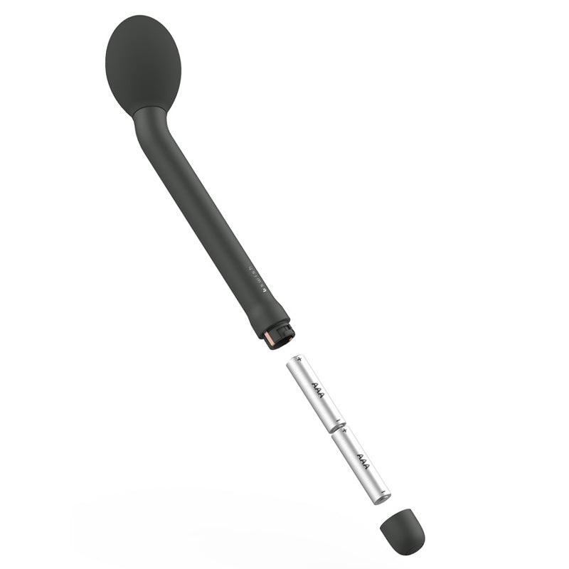 Bgee Classic Plus