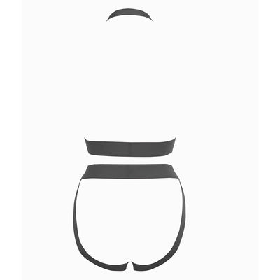 小猫咪，我是你的泰迪