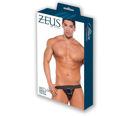 Zeus 湿润质感三角裤，带囊袋前部