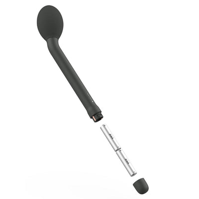 Bgee Classic Plus