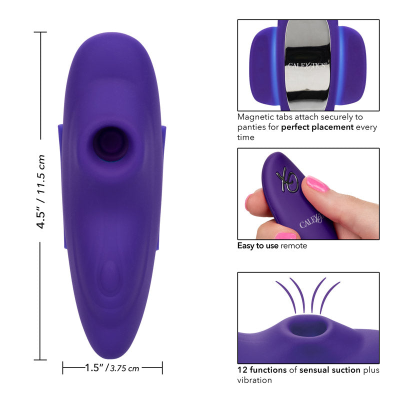 Lock-N Play 遥控吸盘式内裤挑逗器