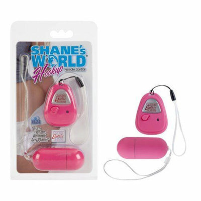 Shanes World 连接遥控器