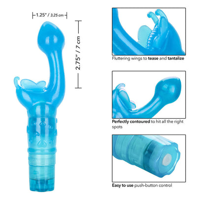 蝴蝶之吻